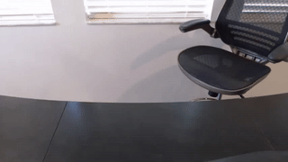 blondvibe animated gif teaser