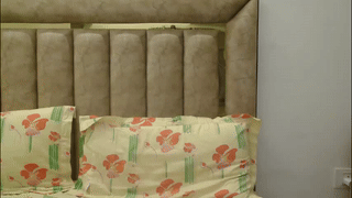 dylanlenox animated gif teaser