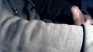 dachskevin animated gif teaser