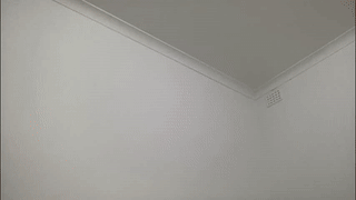 asiansexyfucker_xx animated gif teaser