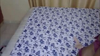 sophiebelll animated gif teaser