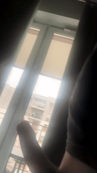 max_lancaster animated gif teaser