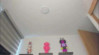 shanelfun animated gif teaser
