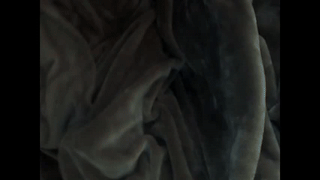 xxdgg66788 animated gif teaser