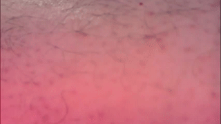 hairybeardedsmoker animated gif teaser