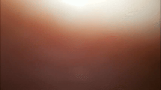 derekswan animated gif teaser