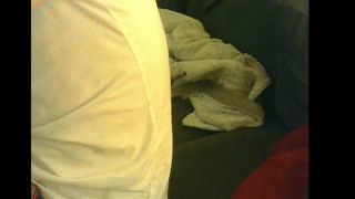 littlebrucey animated gif teaser