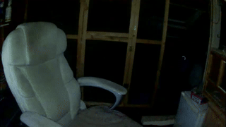 christopher_robin4 animated gif teaser