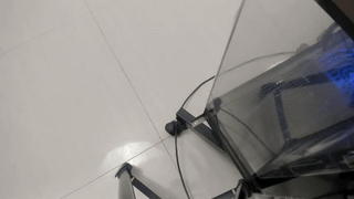 bridgetbottrell animated gif teaser