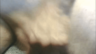 tightncuteass animated gif teaser