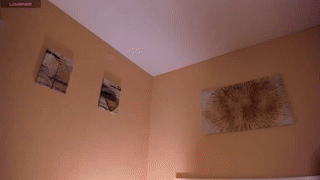tiffy_fox animated gif teaser