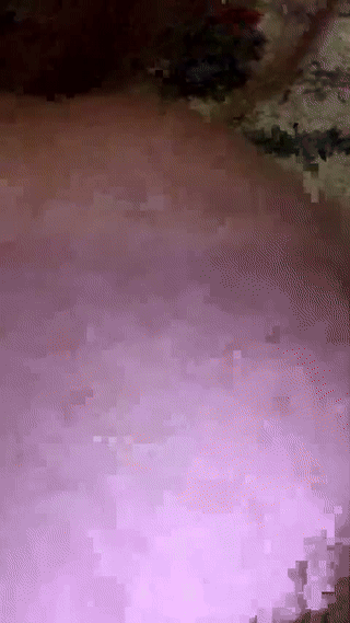 chaturbabexo animated gif teaser