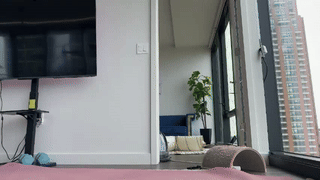 johana_fox_ animated gif teaser