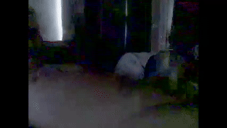 bjork56 animated gif teaser