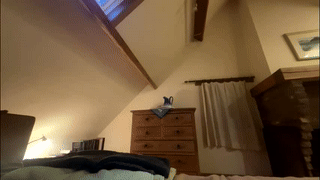 sashablonde_ animated gif teaser