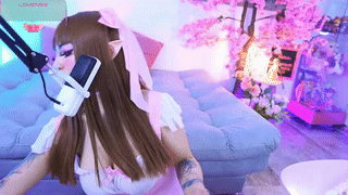 rodde_schlocer animated gif teaser