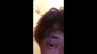 savagebullxxx animated gif teaser