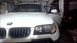 veritas_in_vine animated gif teaser