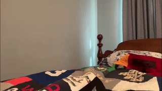 sebax_00 animated gif teaser