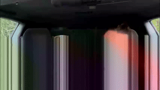 tastytilly animated gif teaser