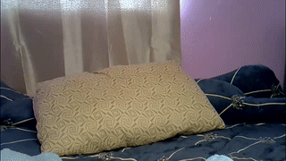 foxylovesyou animated gif teaser