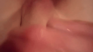 dennis_bloom animated gif teaser