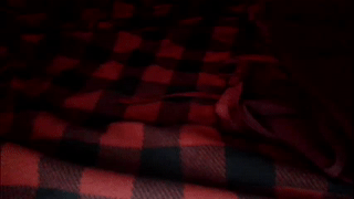 delitevip animated gif teaser
