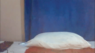 mia_greyy animated gif teaser