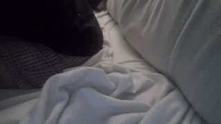 tommy_crash animated gif teaser