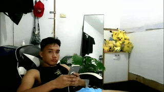 bigbush1 animated gif teaser