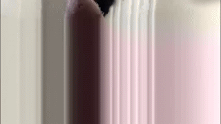 sweety__boy_ animated gif teaser