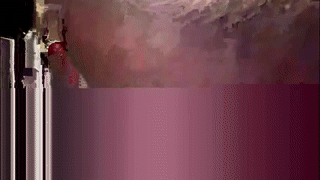 downtherabbithol000 animated gif teaser