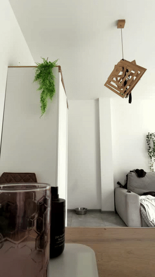 jackdesfeux animated gif teaser