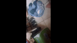 claimom animated gif teaser