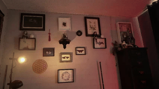 mavii__ animated gif teaser