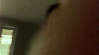 miss_tress_inna animated gif teaser