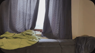 bigbear3287 animated gif teaser