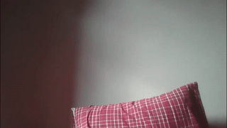 alex_gotcha animated gif teaser