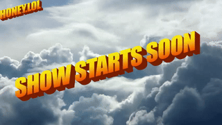 butteflai animated gif teaser