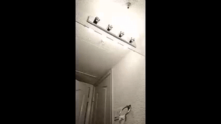 chris2778 animated gif teaser