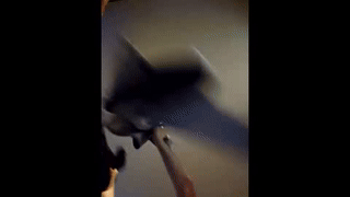 wolferatus animated gif teaser