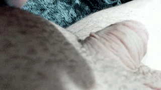 thomas_and_lyan animated gif teaser