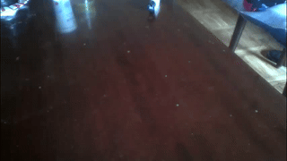 the_g00dguy animated gif teaser