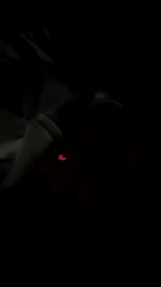 nicky_and_blake animated gif teaser