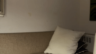 noahwalker__ animated gif teaser