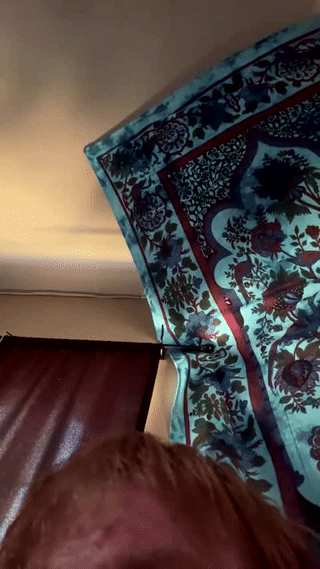 pinoy_palautogxxx animated gif teaser