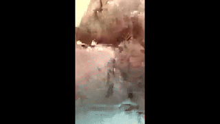 artieryder animated gif teaser
