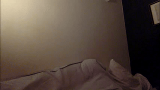 richarddarell animated gif teaser