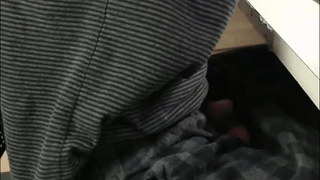 interracial_wallen animated gif teaser