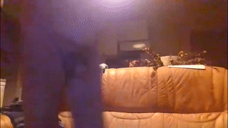 roastingcorn animated gif teaser